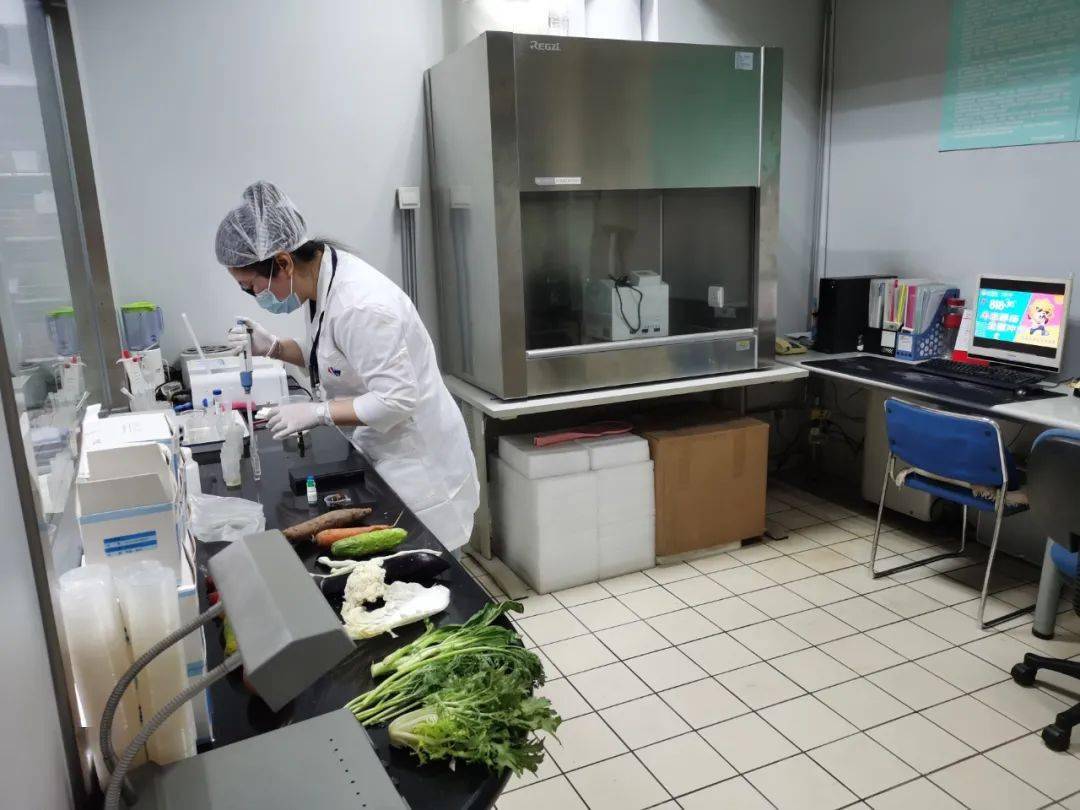 凤城食品检测实验室装修方案